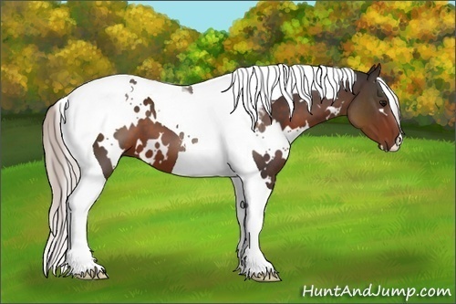 Horse Color:White Spotted Silver Brown Tobiano 