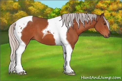 Horse Color:Silver Bay Tobiano 