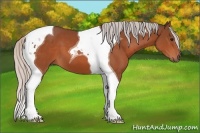 Horse Color:Silver Bay Tobiano 