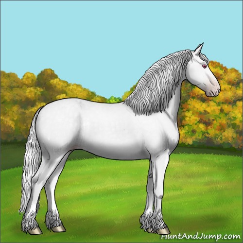 Horse Color:Silver Classic Champagne Chinchilla Dun 