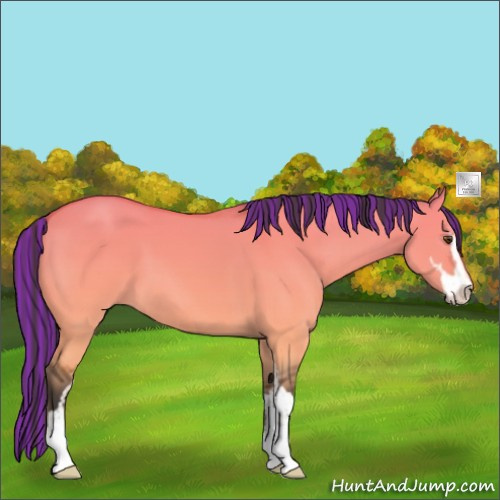 Horse Color:Platinum Painted Buckskin Dun Sabino