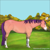 Horse Color:Platinum Painted Buckskin Dun Sabino