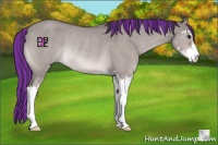 Horse Color:Platinum Painted Bay Roan Dun Sabino Rabicano