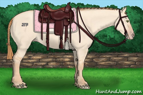 Horse Color:Gold Champagne Dun 