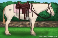 Horse Color:Gold Champagne Dun 