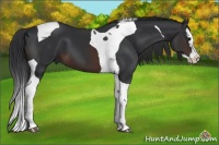 Horse Color:Brown Splash Tobiano