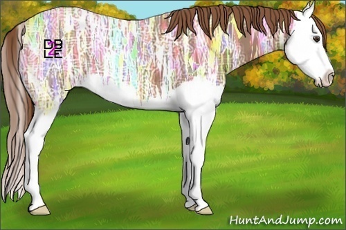 Horse Color:Chestnut Ice Splash Appaloosa 