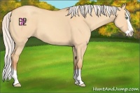 Horse Color:Silver Amber Champagne Dun Splash 