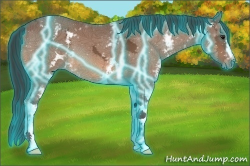 Horse Color:Thunderstruck White Spotted Bay Ice