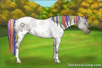 Horse Color:Painted White Spotted Liver Chestnut Ice Appaloosa 