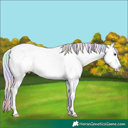 Horse Color:Nacre Palomino Near Leopard