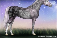Horse Color:Watercolor Silver Buckskin Ice Pearl Onyx Rabicano 