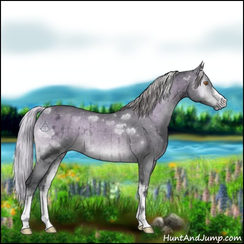 Horse Color:Silver Brown Chinchilla Ice Onyx 