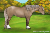 Horse Color:Gray Silver Grullo Pearl Tobiano