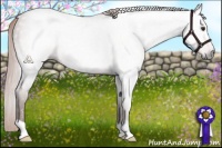 Horse Color:Gray Chestnut Rabicano