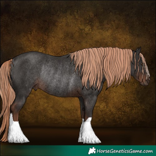 Horse Color:Liver Chestnut Rabicano 