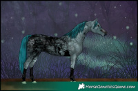 Horse Color:ERROR: UNKNOWN ANOMALY