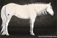 Horse Color:Cremello Splash  and Cremello Splash 