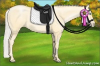 Horse Color:Silver Buckskin Pearl