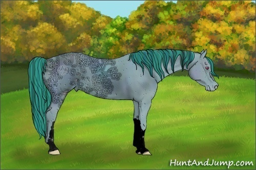 Horse Color:ERROR: UNKNOWN ANOMALY