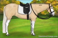 Horse Color:Silver Buckskin Roan Splash 