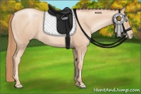 Horse Color:Gold Champagne Pearl Rabicano  and Gold Champagne Pearl Rabicano 