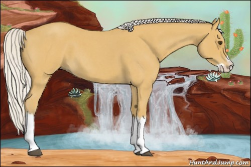 Horse Color:Silver Buckskin Roan Splash