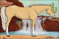 Horse Color:Silver Buckskin Roan Splash 