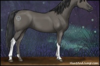Horse Color:Grullo 