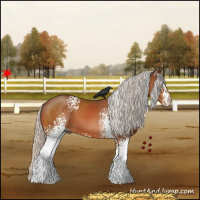 Horse Color:White Spotted Silver Bay 
