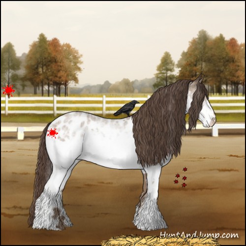 Horse Color:White Spotted Classic Champagne Roan Appaloosa 