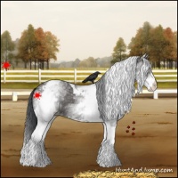 Horse Color:White Spotted Black Tobiano 