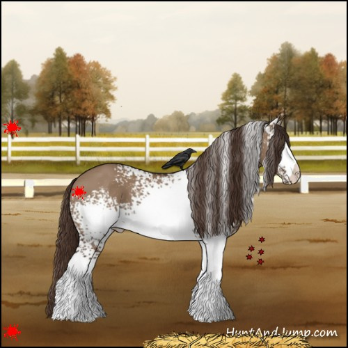 Horse Color:White Spotted Liver Red Dun
