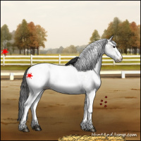 Horse Color:White Spotted Grullo Appaloosa 