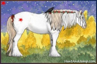 Horse Color:White Spotted Gold Champagne Dun Appaloosa 