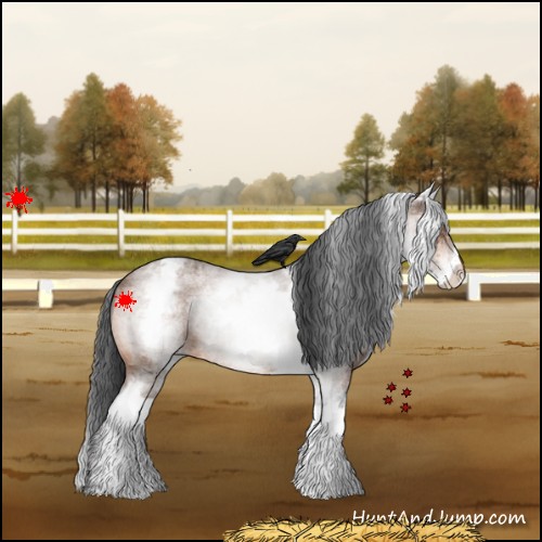 Horse Color:White Spotted Bay Roan