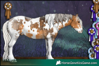 Horse Color:White Spotted Silver Buckskin Sabino 
