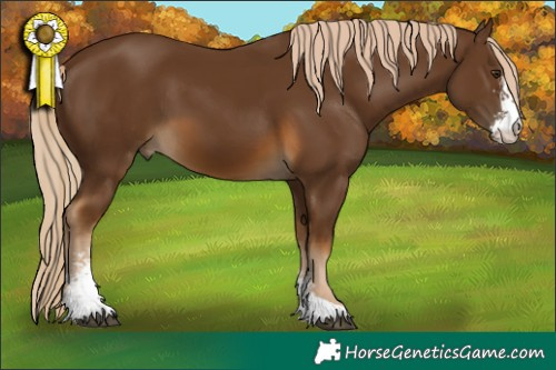 Horse Color:Chocolate Palomino Sabino 