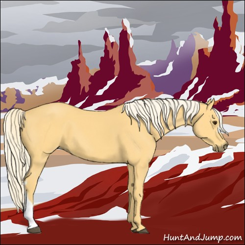 Horse Color:Palomino 