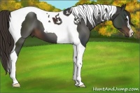 Horse Color:Liver Chestnut Tobiano 