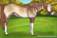 Horse Color:Red Onyx Rabicano