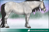 Horse Color:Smoky Blue Onyx Ice Roan Tobiano Rabicano 