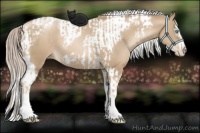 Horse Color:Chocolate Palomino Pearl Tobiano Frame  and Chocolate Palomino Pearl Splash Tobiano Frame 