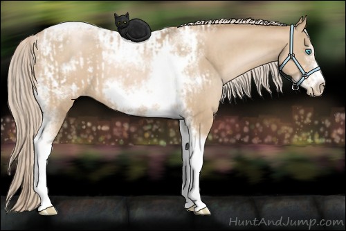 Horse Color:Chocolate Palomino Pearl Tobiano Frame and Chocolate Palomino Pearl Tobiano Frame
