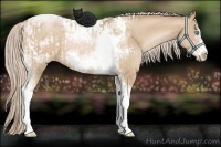 Horse Color:Chocolate Palomino Pearl Tobiano Frame  and Chocolate Palomino Pearl Tobiano Frame 