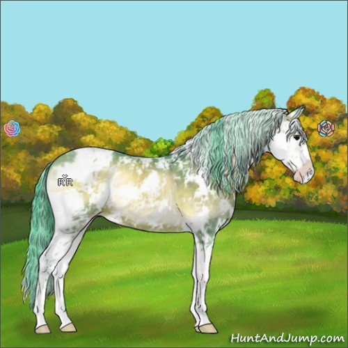 Horse Color:Watercolor Buckskin Onyx Sabino 