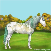 Horse Color:Watercolor Buckskin Onyx Sabino 