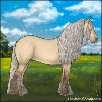 Horse Color:Silver Buckskin Roan Dun Rabicano 