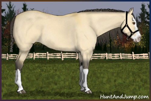 Horse Color:Buckskin Dun Splash 