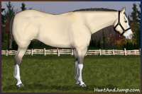 Horse Color:Buckskin Dun Splash 